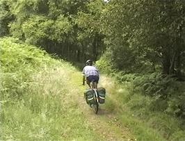 The track to Selworthy continues